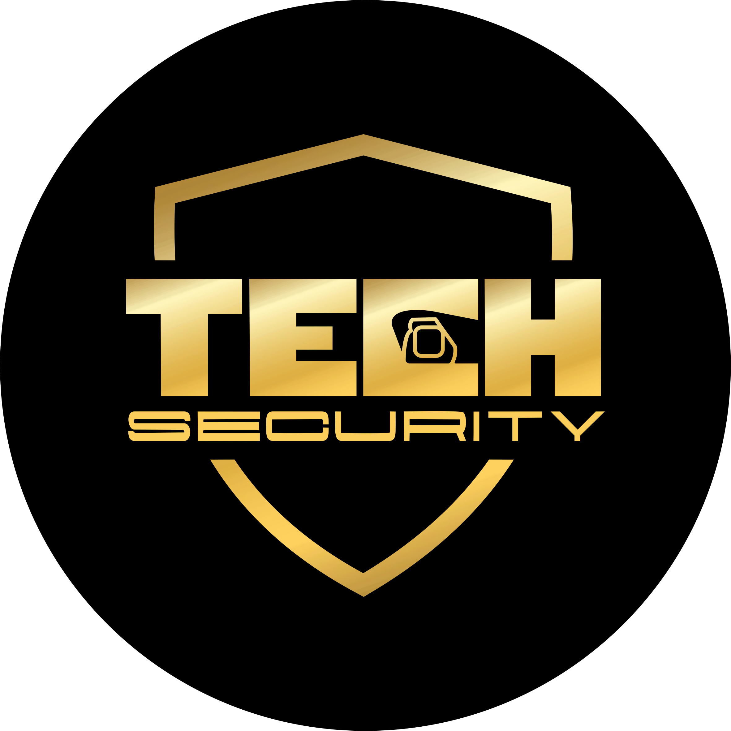 Technological security